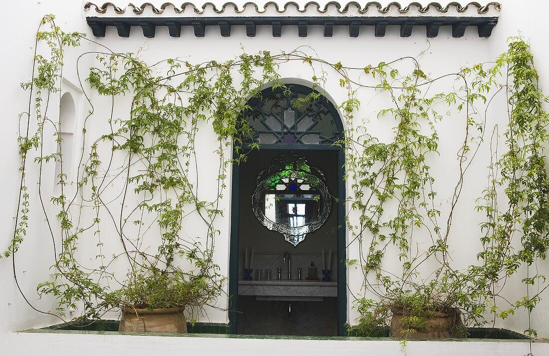 Offenstehende Hauseingangstür in berankter Fassade einer marokkanischen Villa