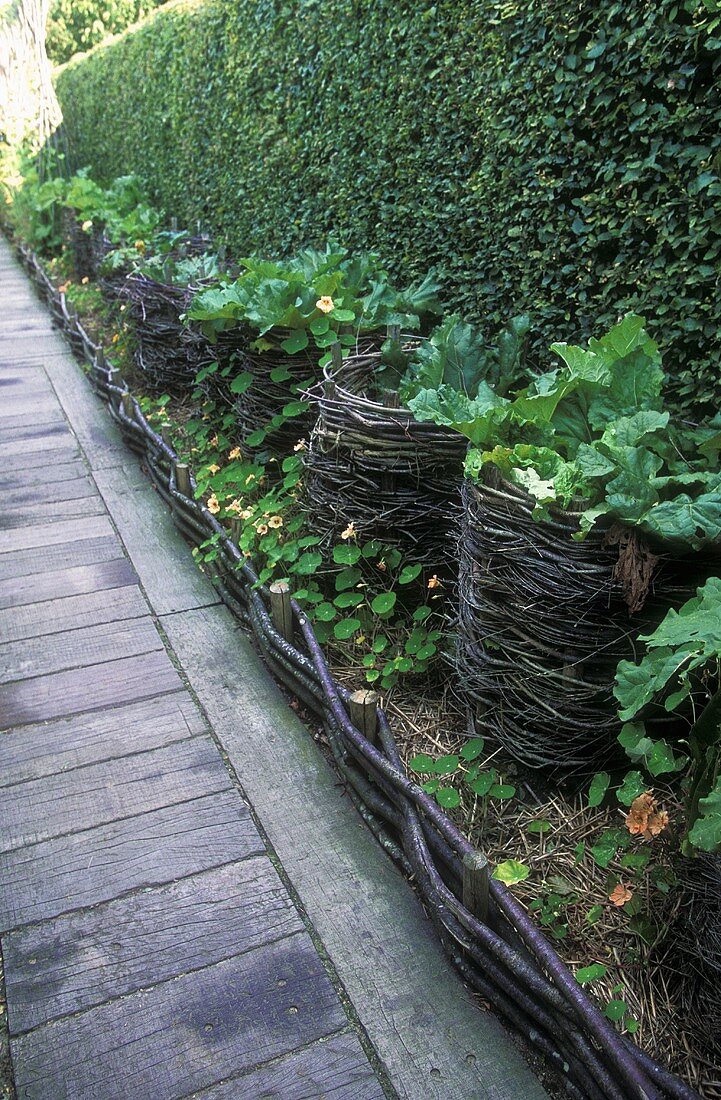 Am Gartenweg mit eingelassenen Holzbohlen stehen Pflanzen in Weidenkörben