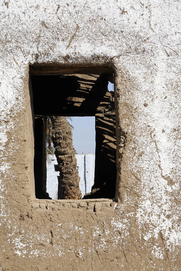 View through an opening in a lime wall of a palm trunk, Egypt