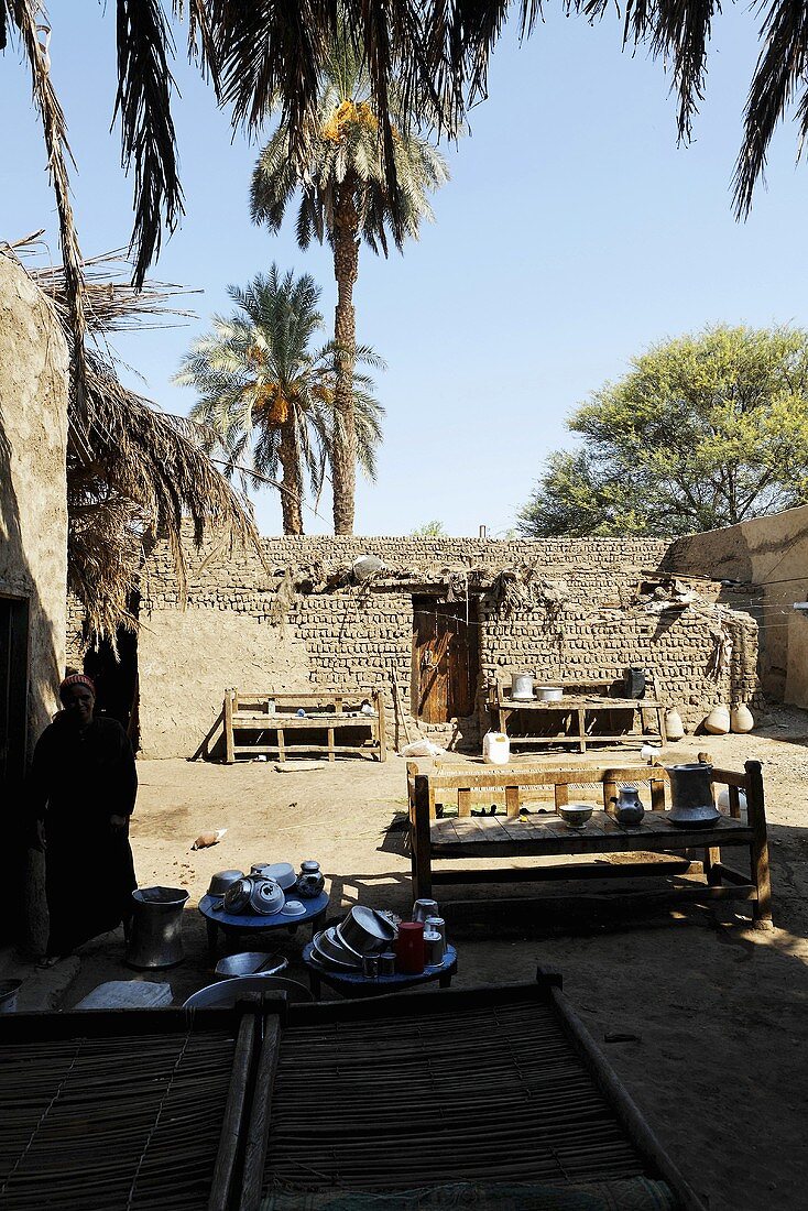 Benches on sand in the courtyard with lime walls and tall palm, Egypt