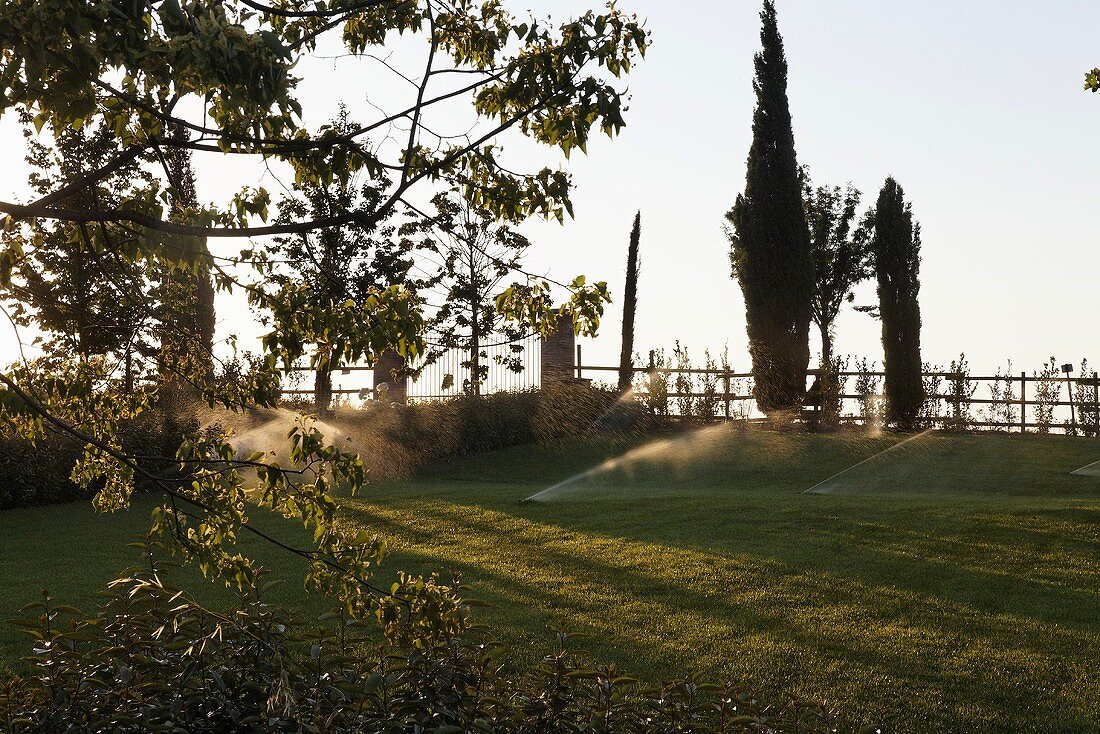 Sprinkleranlage auf Rasen in Mediterraner Landschaft