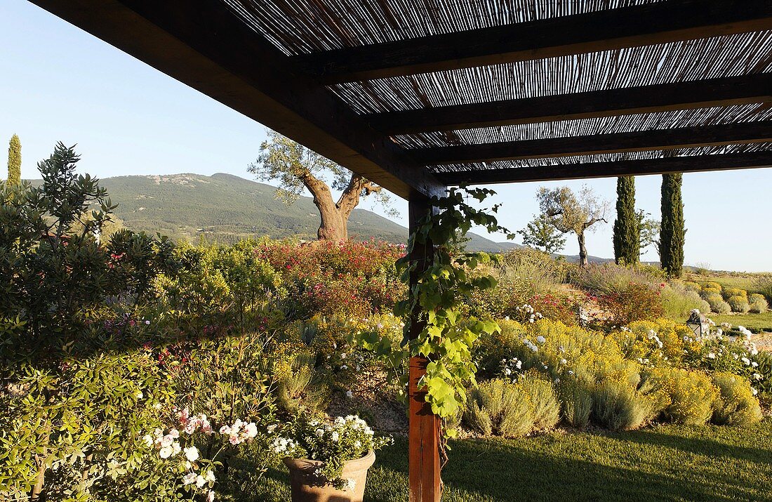Pergola and professionally designed garden in the Mediterranean countryside