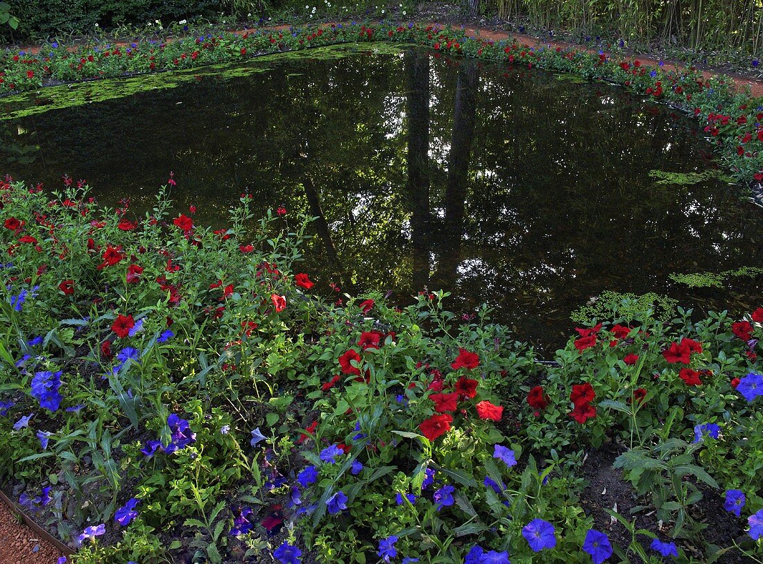 Red and blue flowers around a pond