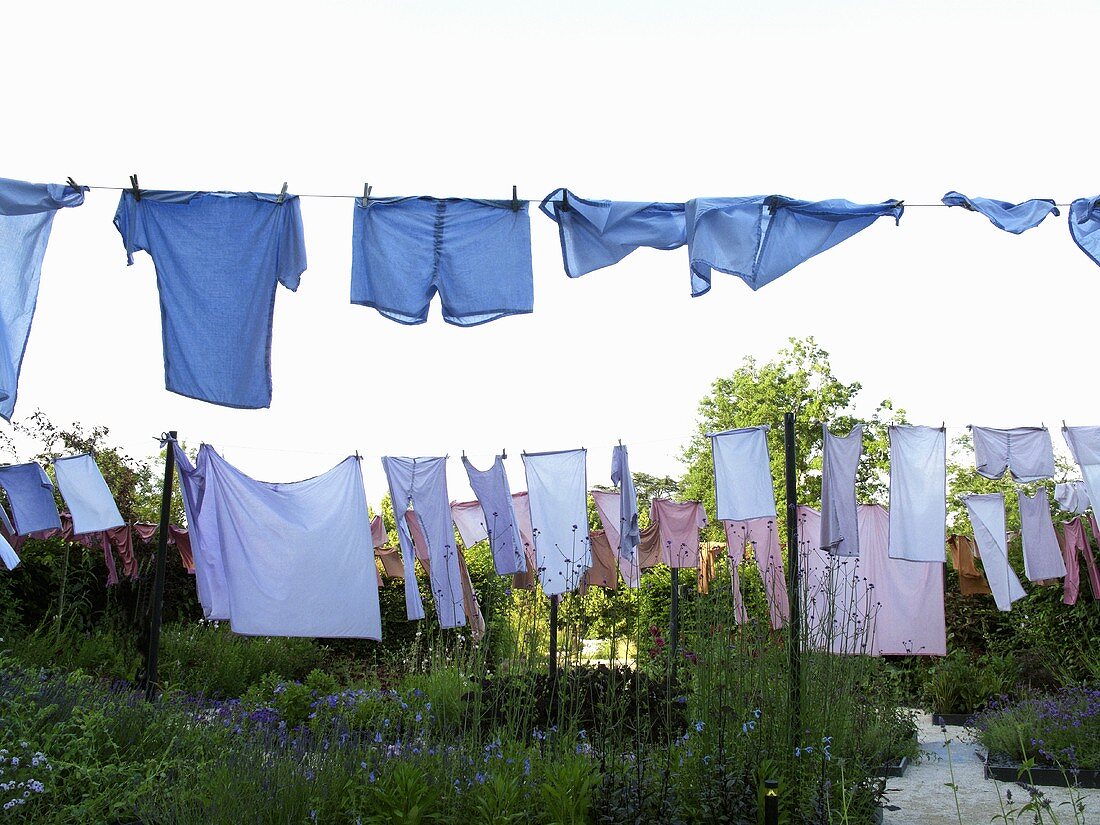 Künstlerische Aktion - blaue Wäsche an Wäscheleine im Garten
