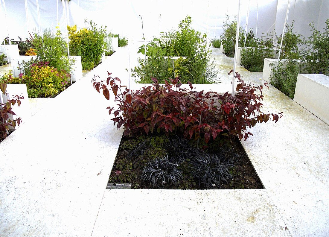 White flooring with square cut outs for plantings