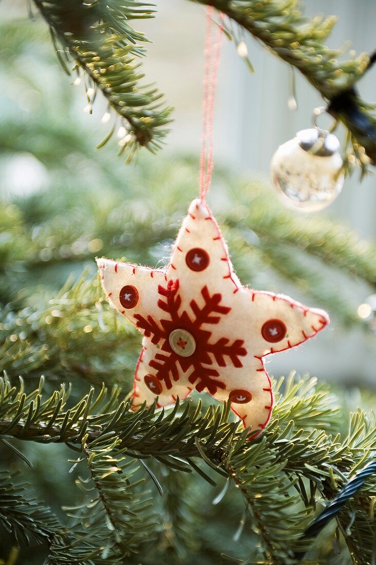 A star-shaped Christmas tree decoration made of white felt hanging from a branch