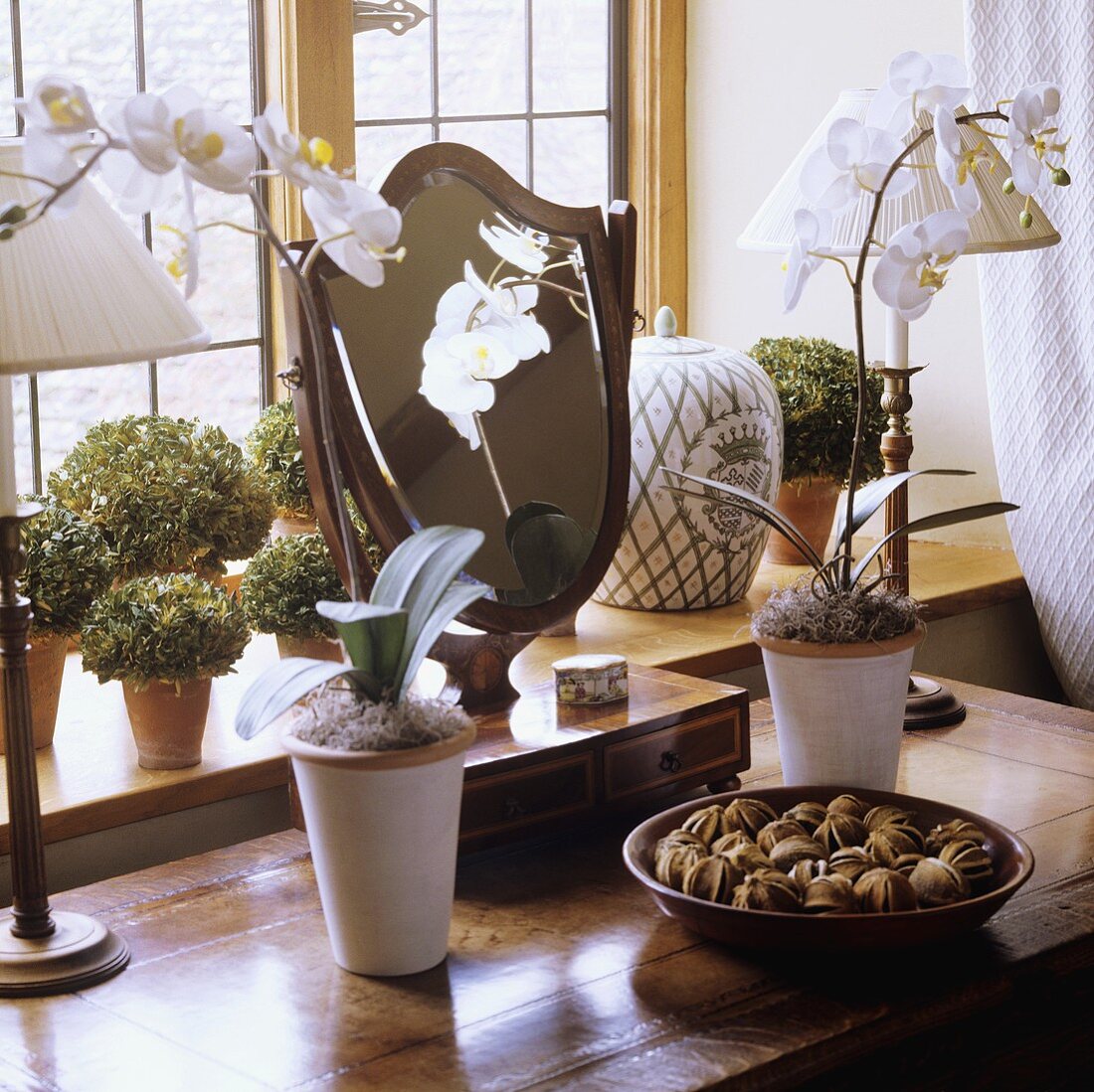 White orchids and a table lamp with a white shade on a table in front of a window