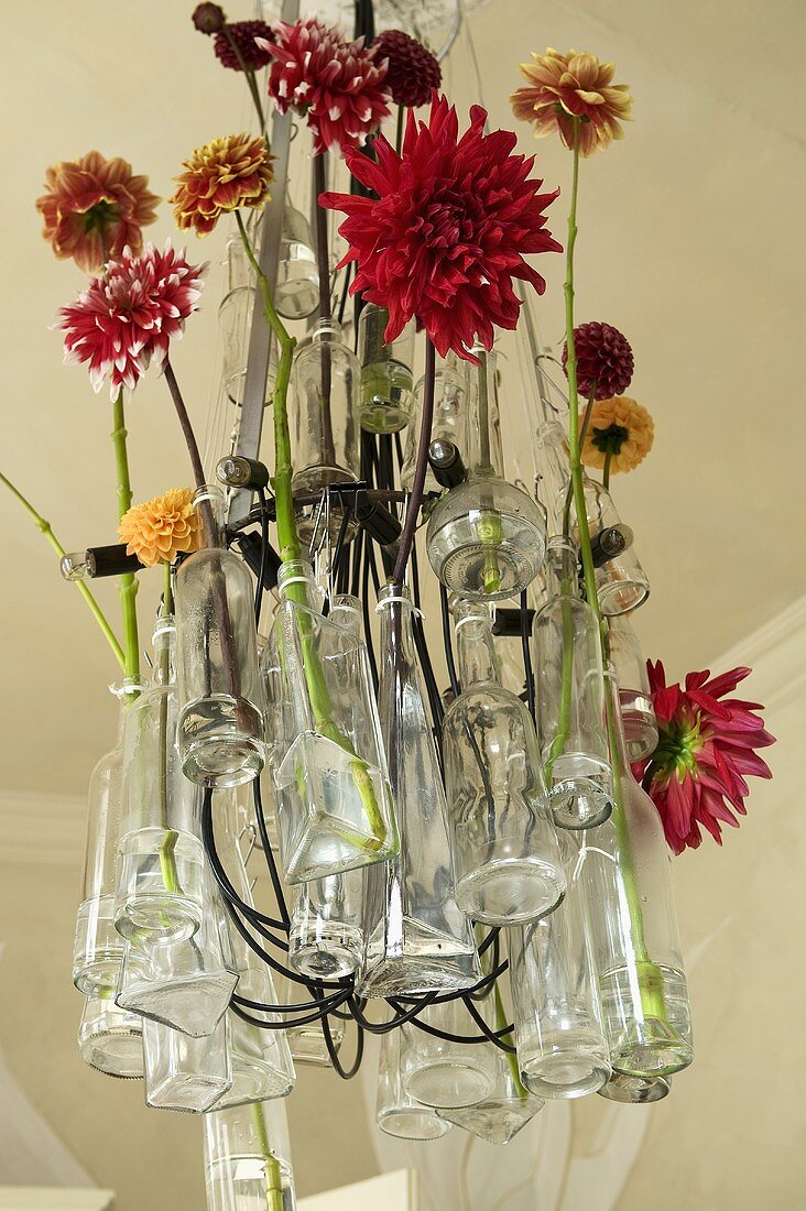 Glass vases of different coloured dahlias hanging from the ceiling
