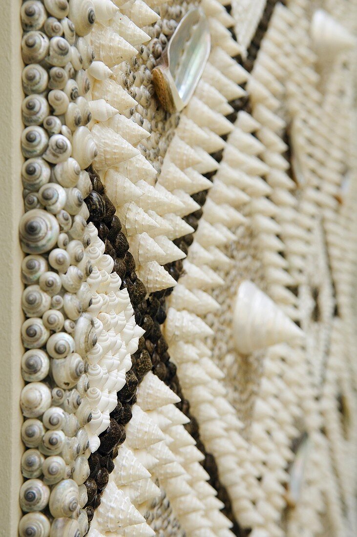 A pattern made from different sized shells