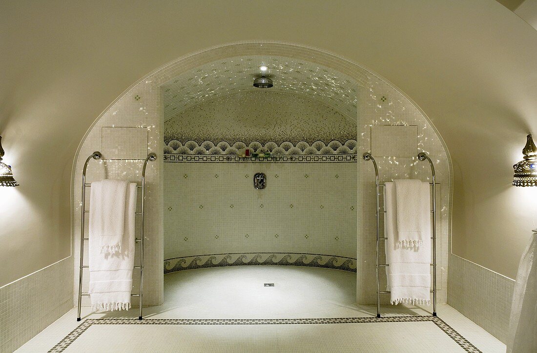 Elegantes Bad unter Tonnendecke mit luxuriösem Duschbereich und Lichthimmel