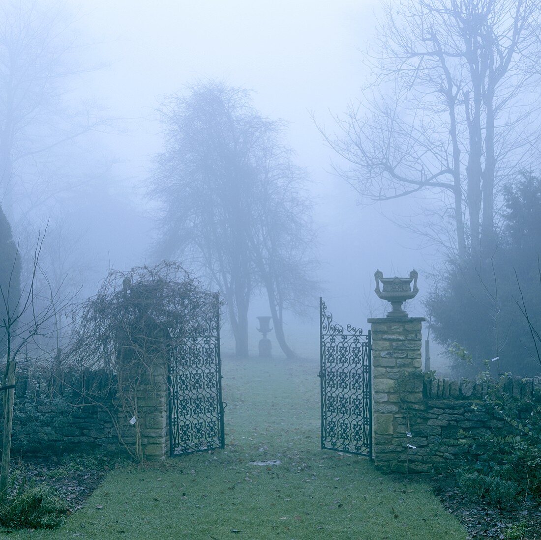An open metal gate of an English garden wreathed in fog