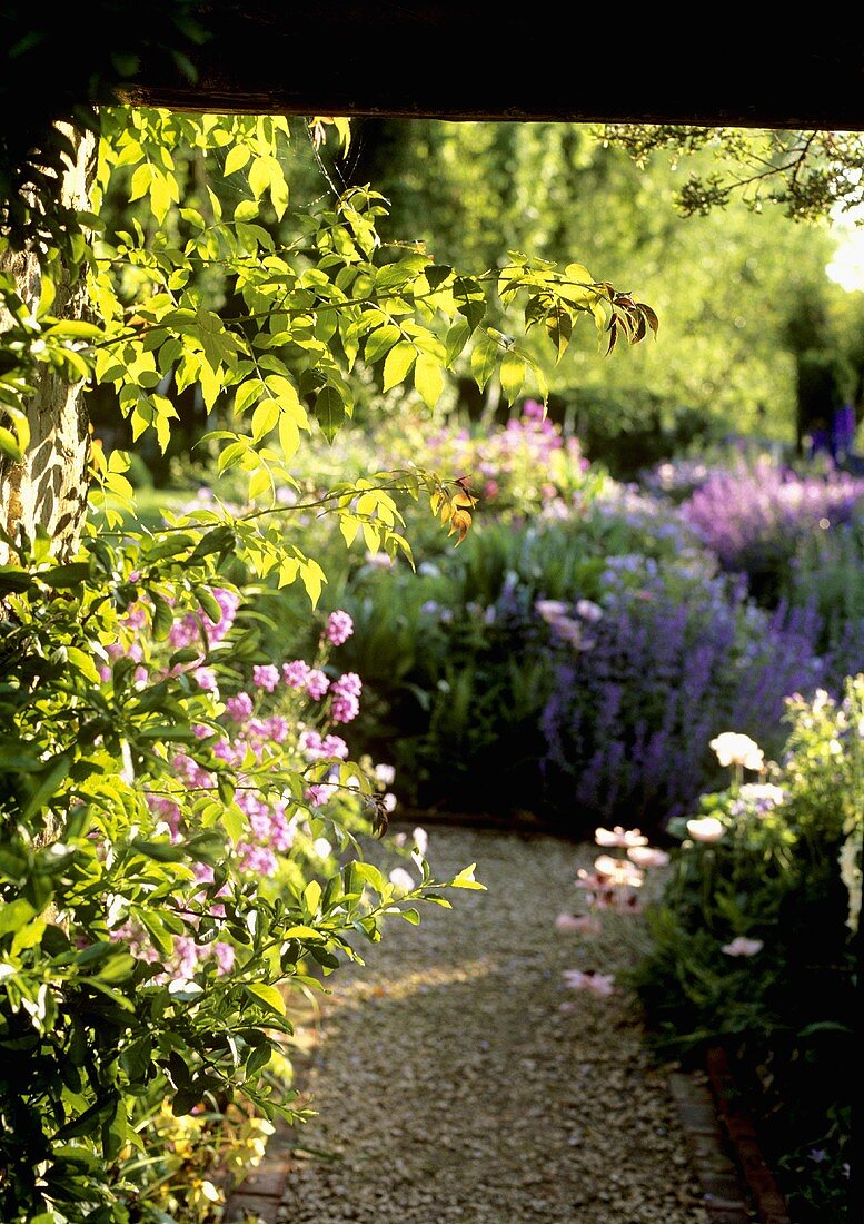 A view of blooming bushes in a garden