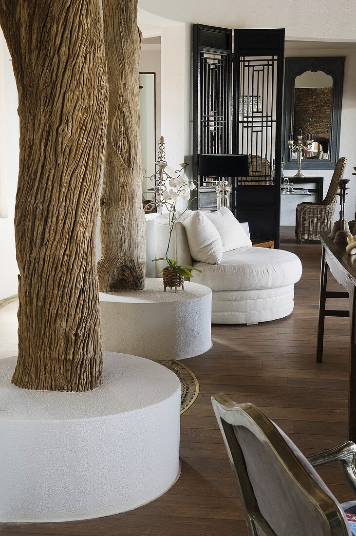 A living room in a South African house with tree trucks as supports