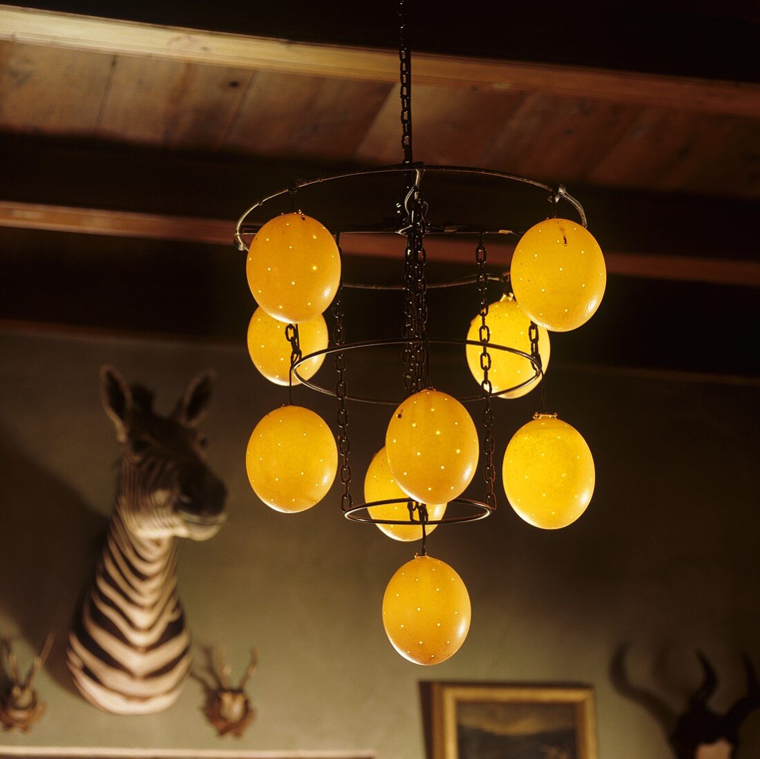 Pendent lamps with illuminated, round glass shades hanging from a wooden ceiling and a stuffed zebra head hanging on the wall