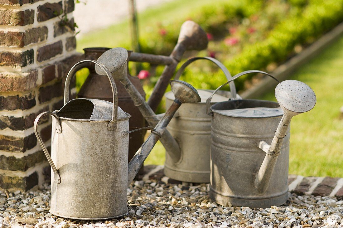 Metal watering can on a gravel path in a garden