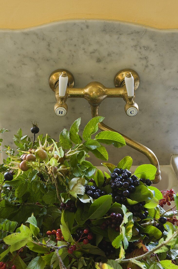 Freshly picked berries in a marble sink with brass taps