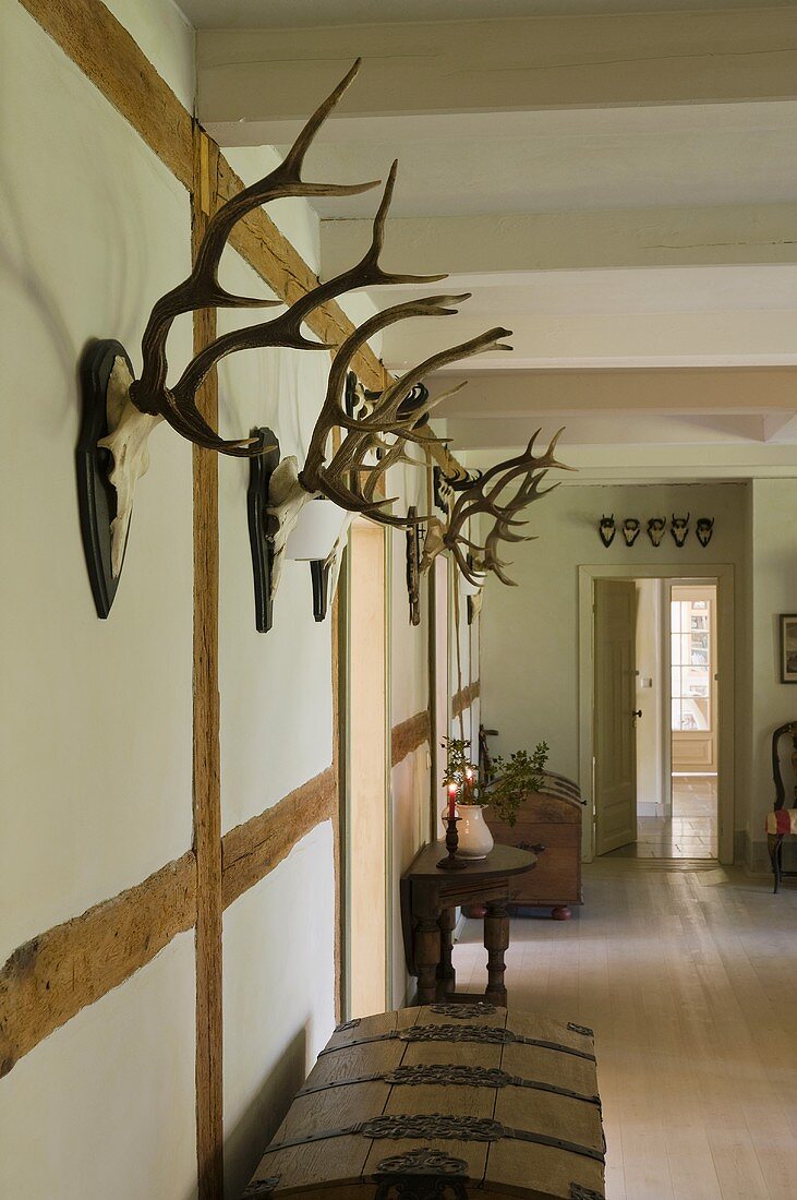 Collection of antlers on a half-timbered wall in a passage