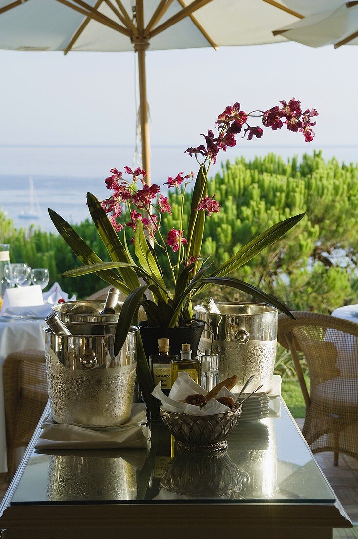 A wine chiller on a terrace table under a sunshade in Mediterranean surroundings with a view of the sea