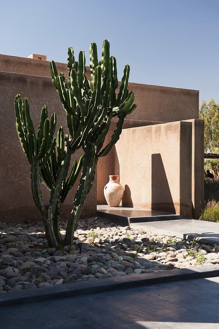 Kaktus im Vorgarten einer minimalistischen Neubauhaus in Marokko