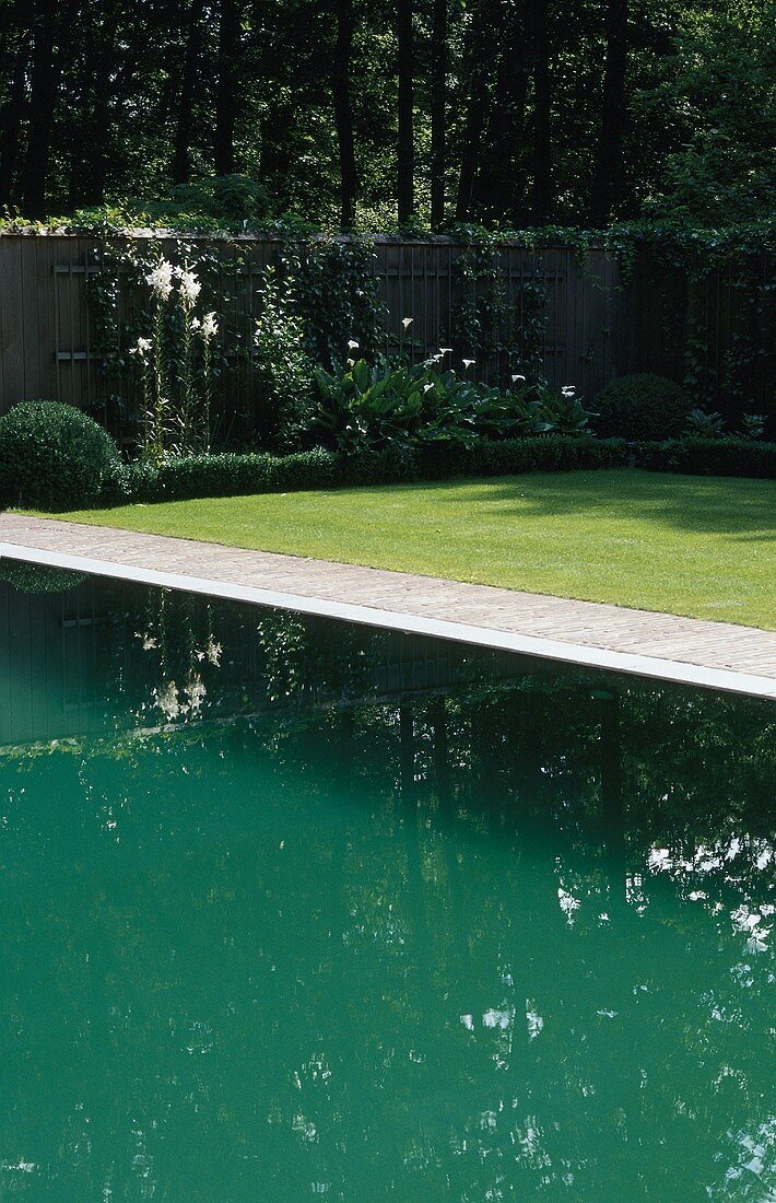Grünvarianten - Wasserspiegelungen im Pool mit Garten