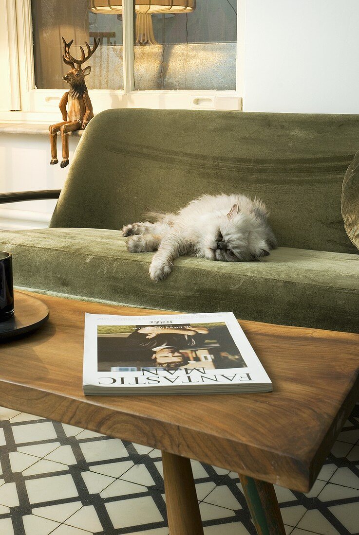 A coffee table and green sofa with a cat lying on it