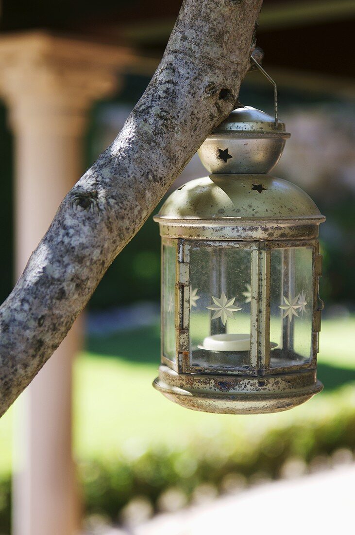 Metal lamp with candle hanging from tree branch