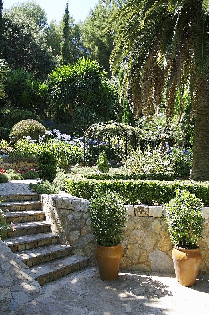 Patio with potted plants and steps leading to palm trees and shrubbery