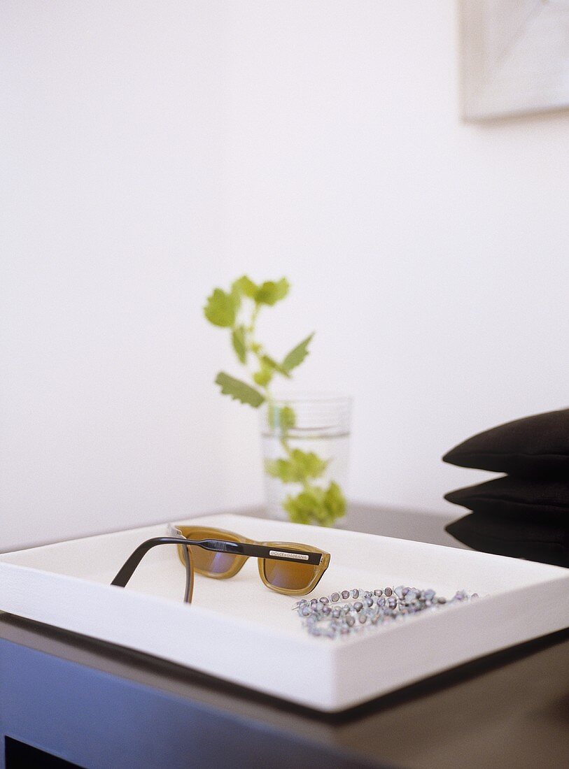 Sonnenbrille und Perlenkette auf weißem Tablett und Glas mit Grünpflanze
