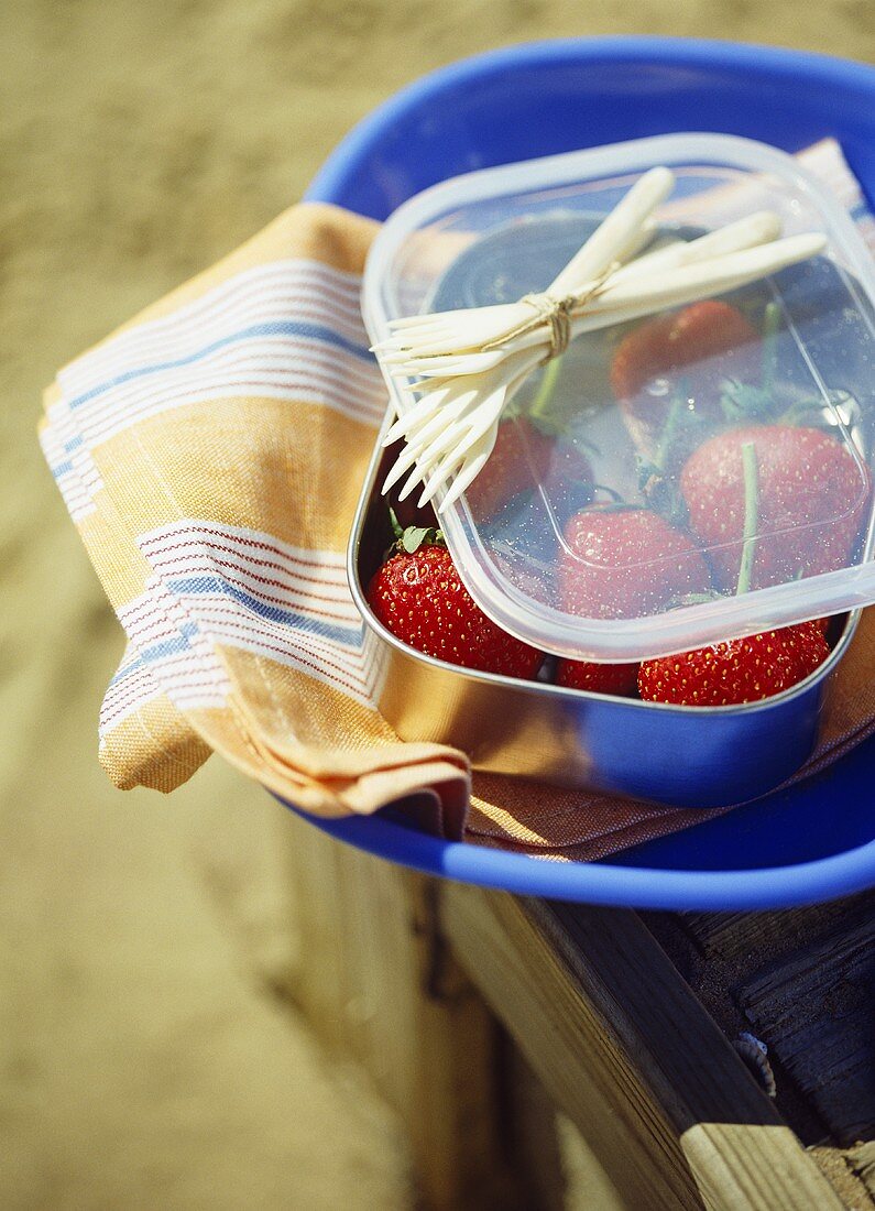 Blue plastic plate and box filled with strawberries on striped teacloth