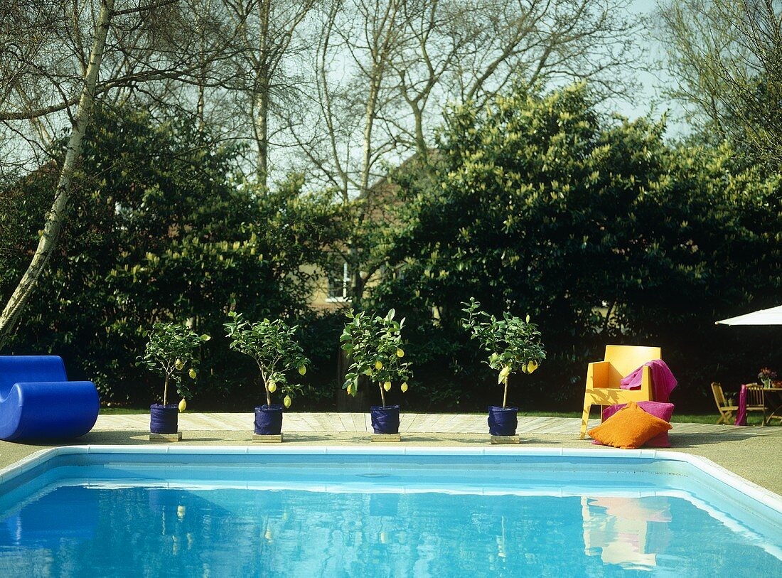 Zitronenbäume und Outdoormöbeln aus farbigem Plastik am Pool