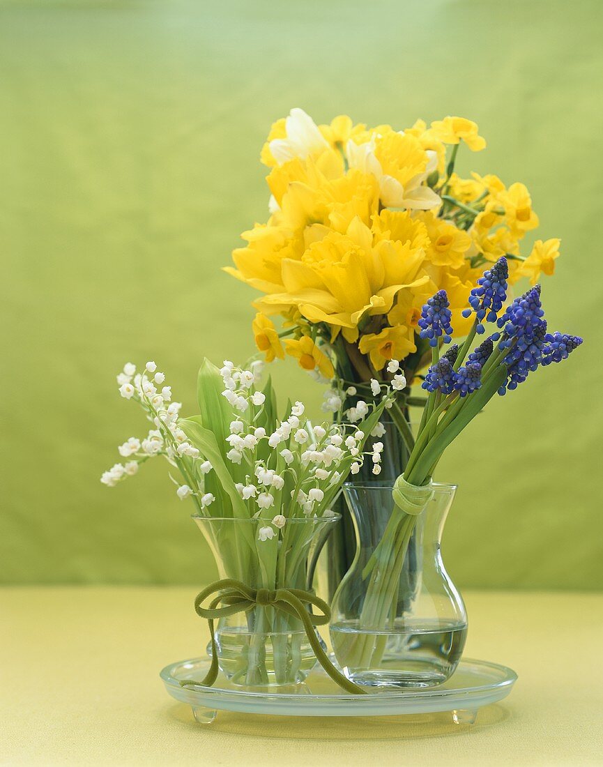 Three Glass Vases with Assorted Flowers, Daffodils and Grape Hyacinth