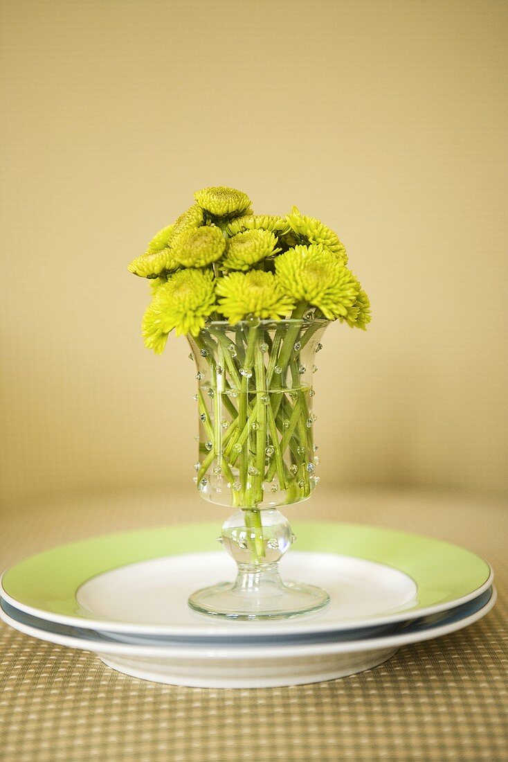 Blumenvase auf Teller