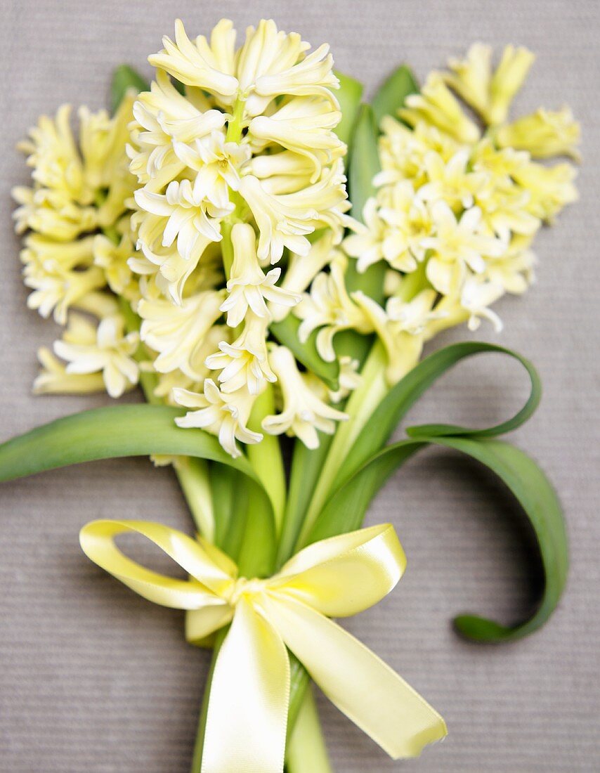 Bouquet of Yellow Hydrangea 