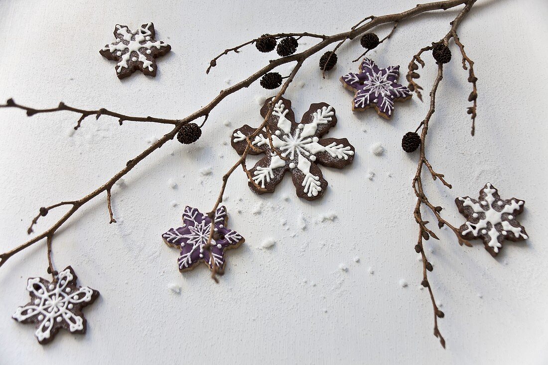 A sprig with snowflake biscuits