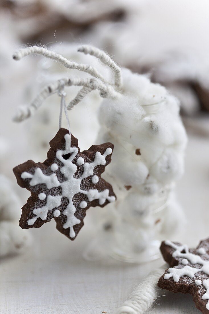A snowflake biscuit hanging from a sprig