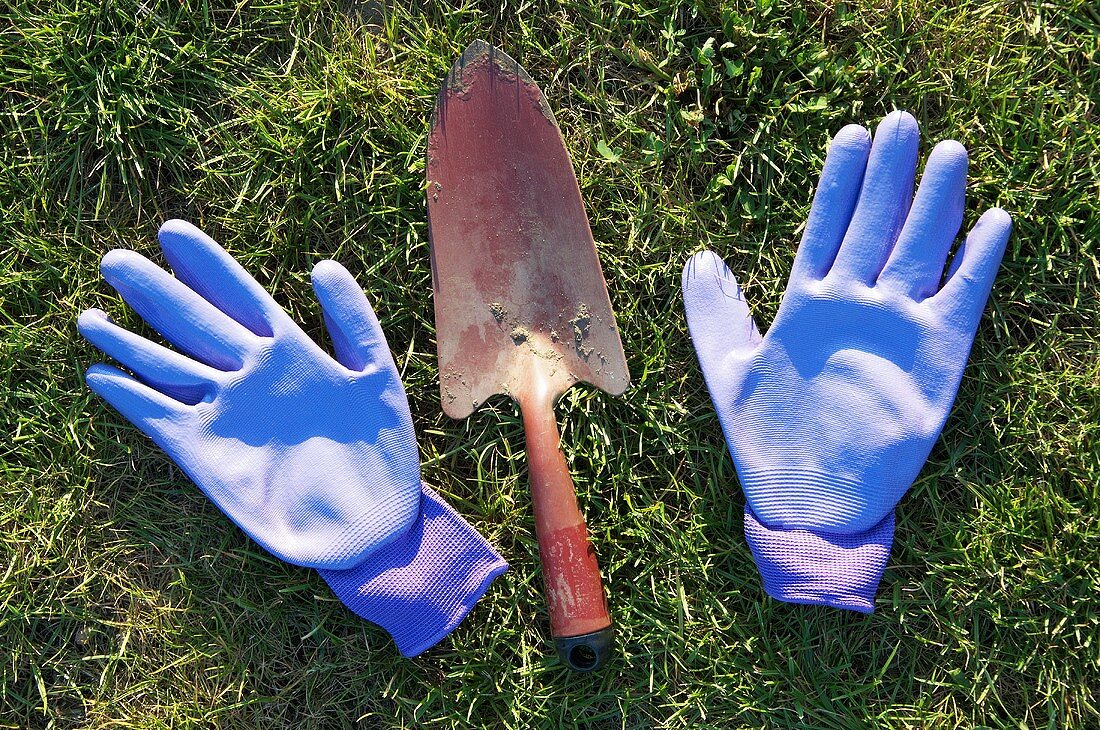 Gardening gloves and a trowel on the lawn