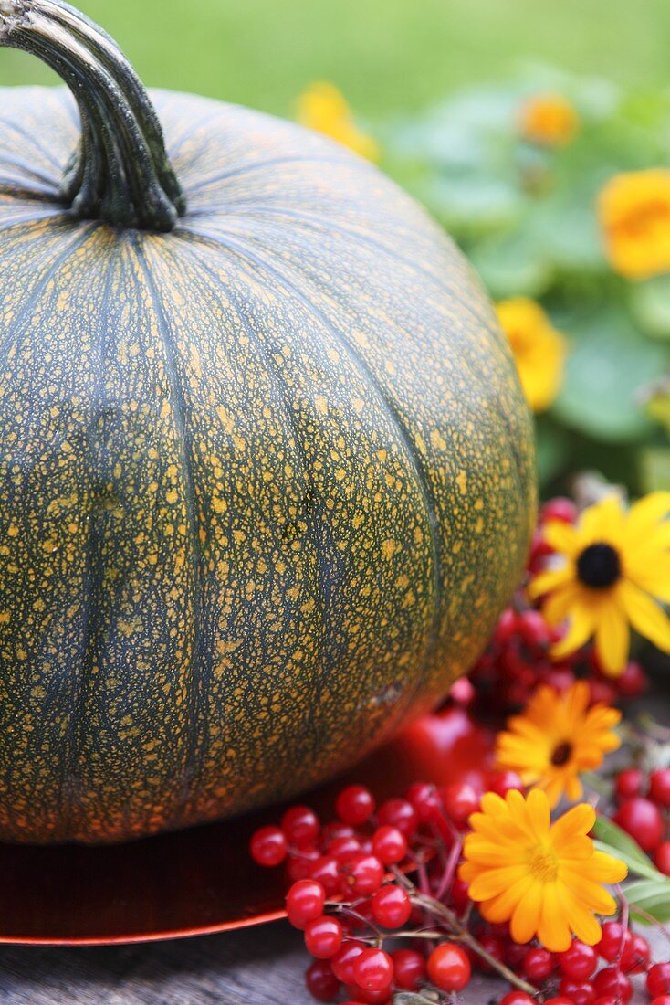 Autumnal decoration with a pumpkin