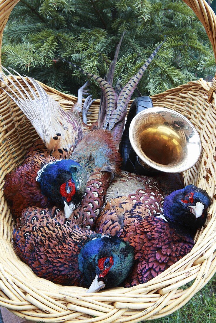 Three pheasants in a basket