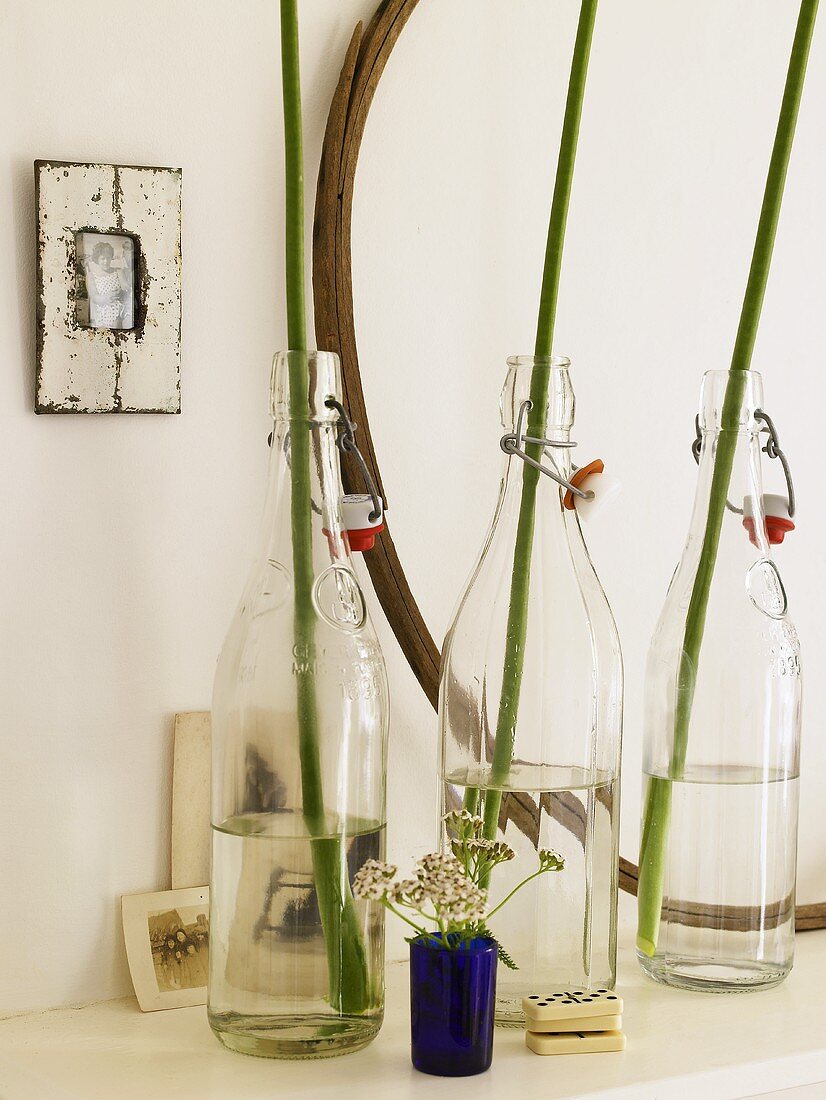 Drei Glasfaschen mit Blumenstengel auf Ablage
