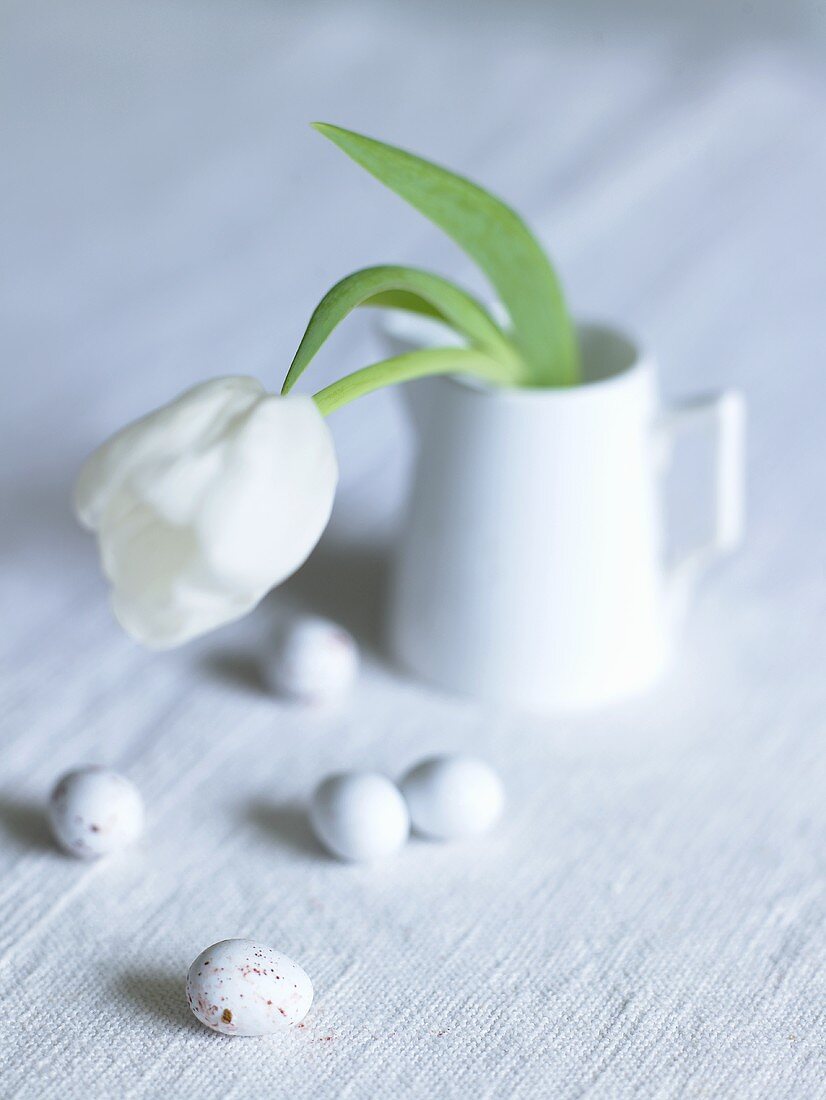 A white tulip in a porcelain cup with eggs next to it