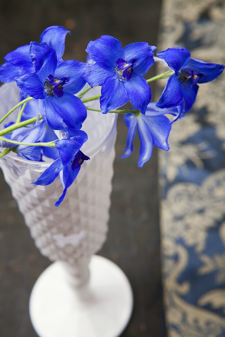 Delphiniums lying on top of a white vase