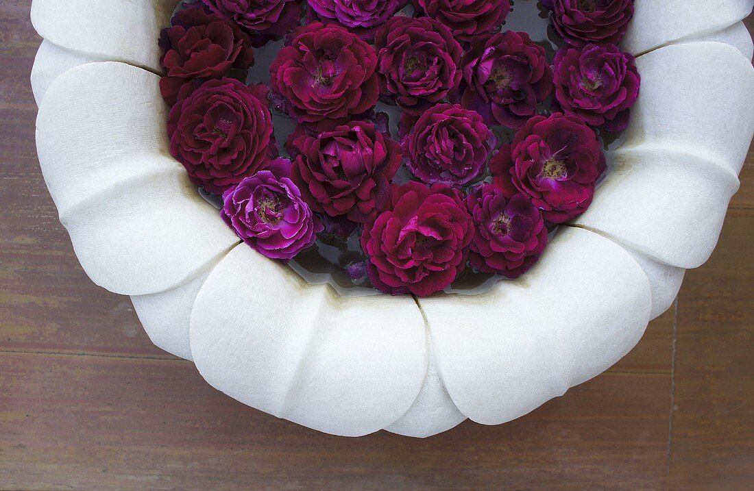 Roses in a finger bowl