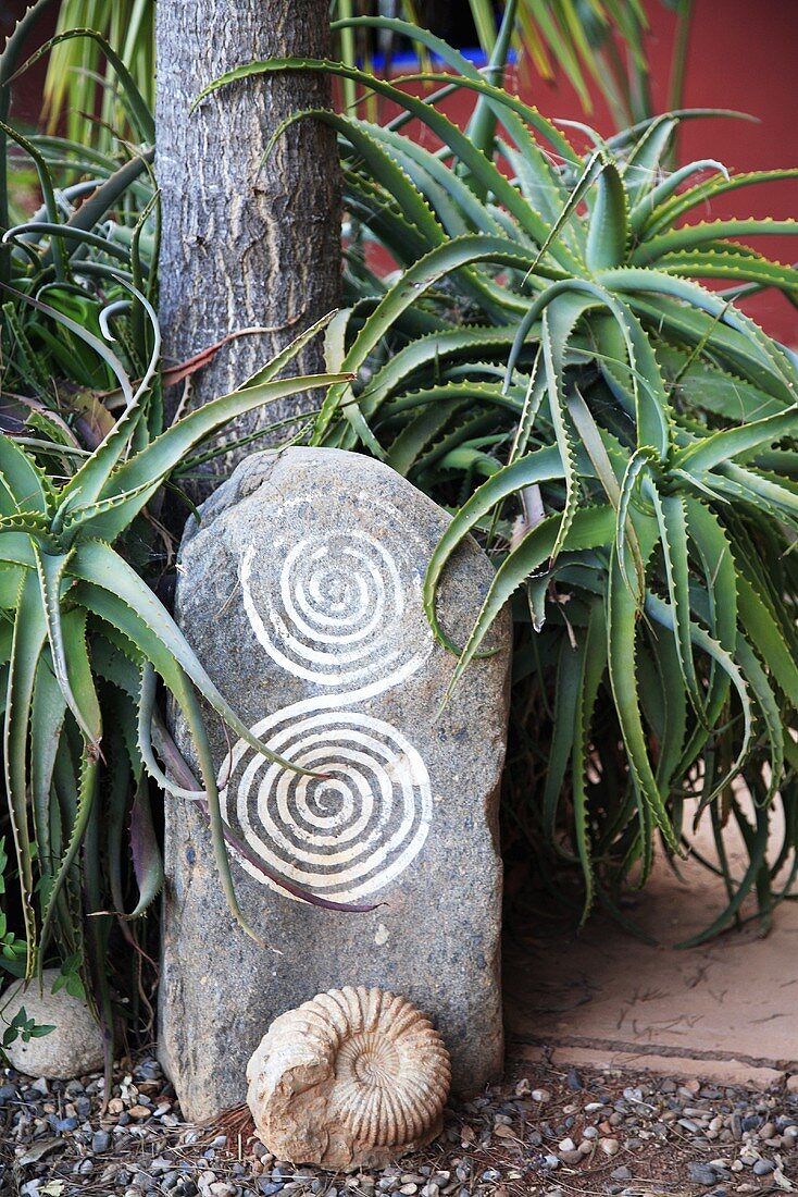Aloe, Ammoniten und Stein mit Muster