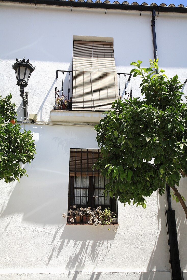 Traditionelles spanisches Stadthaus mit Balkon und kleiner Baum vor dem Haus