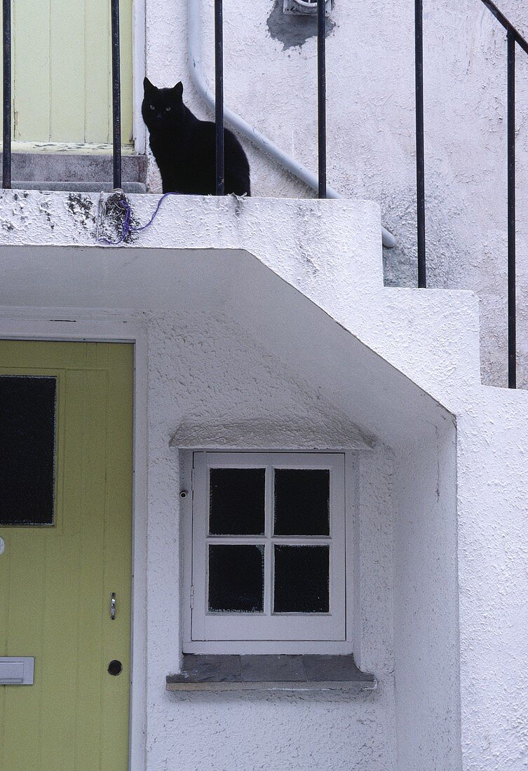 Schwarze Katze sitzt auf der Treppe