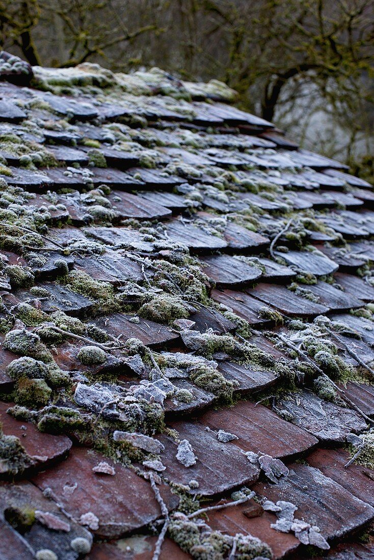 Verwittertes Dach im Winter