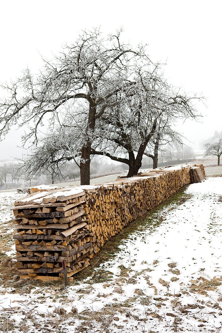 Stacked firewood in winter
