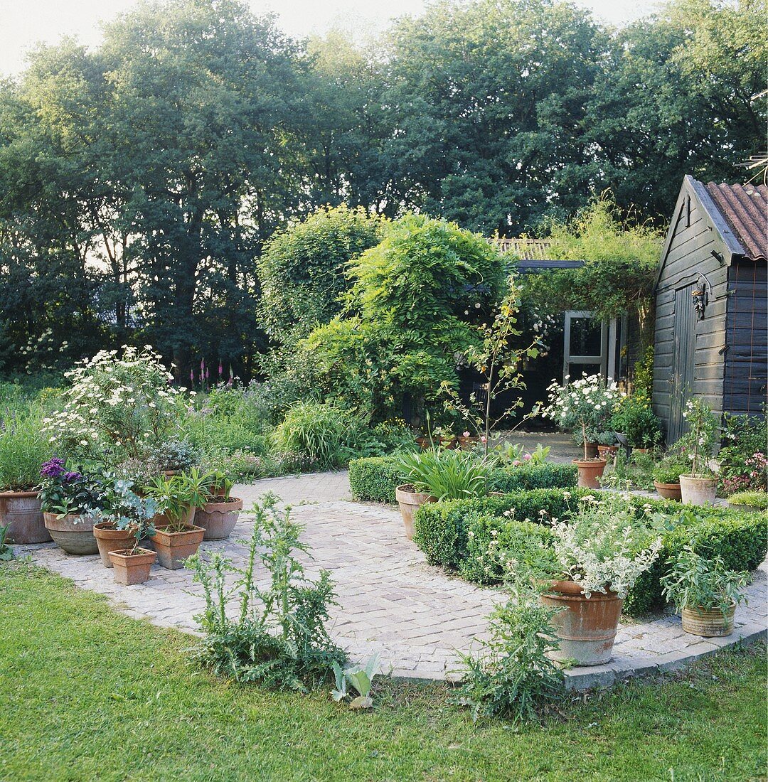 Pflanzen in Terrakottatöpfen im Garten vor dem Gartenschuppen