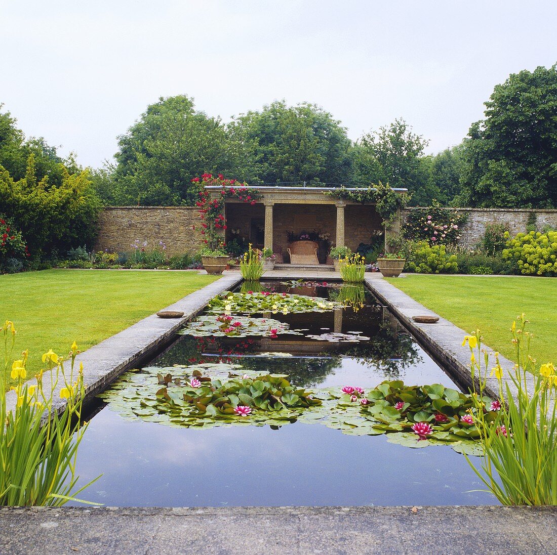 Grosser rechteckiger Teich mit Seerosen und Wasserlilien im Garten