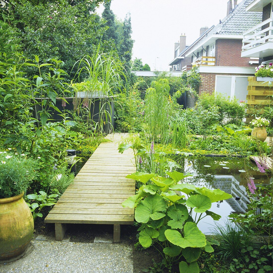 Teich mit Wasserpflanzen und Holzsteg in einer Stadtgarten